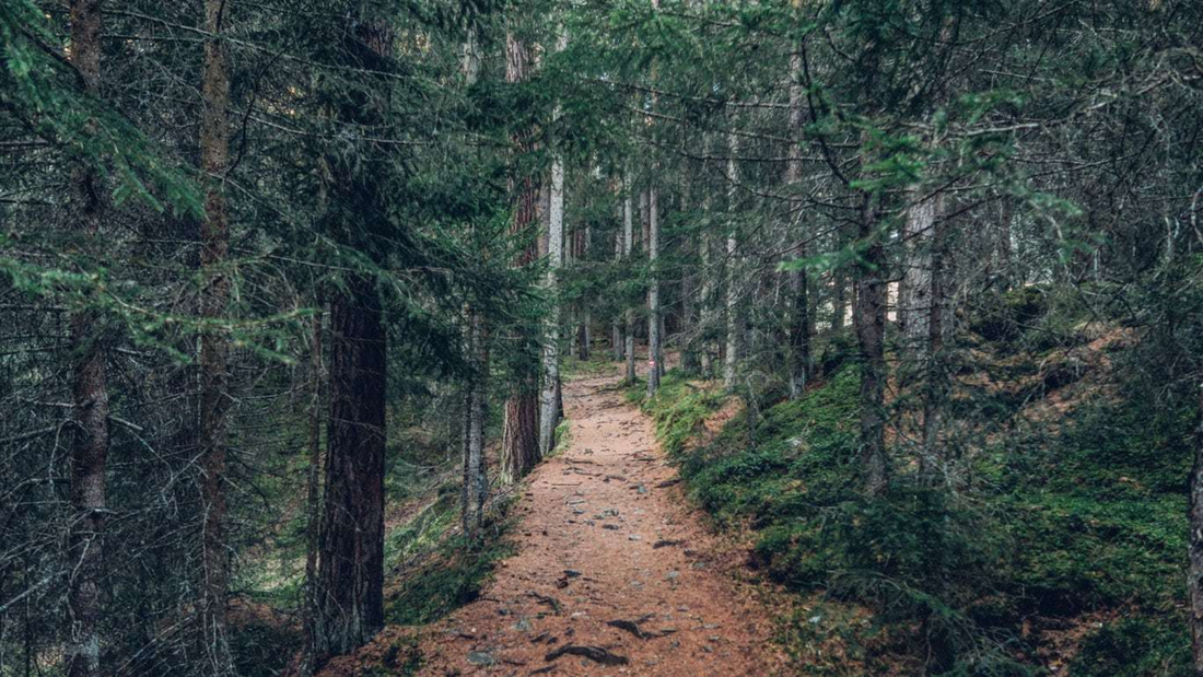 You’re Training for More Than the Run