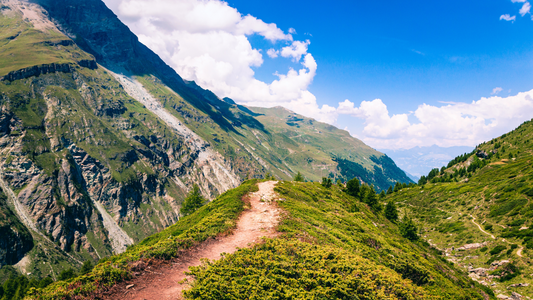 Burnout: Doing Without Purpose