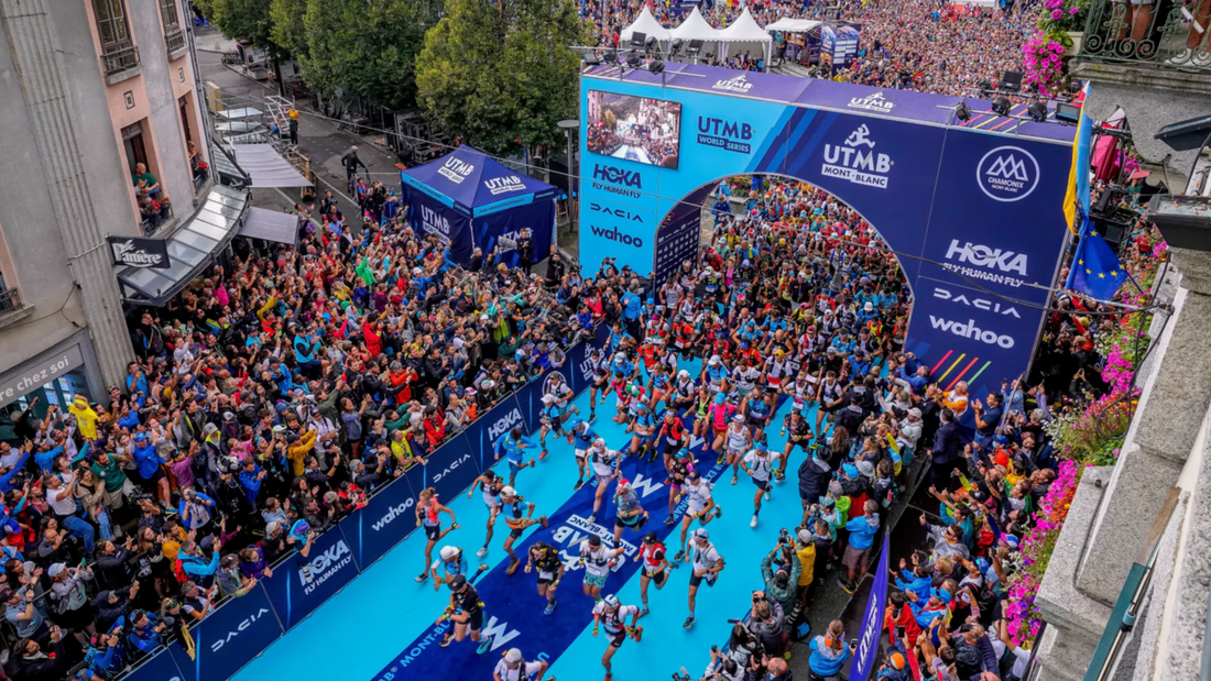 Everything is Training