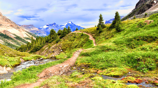 Mountain trail running