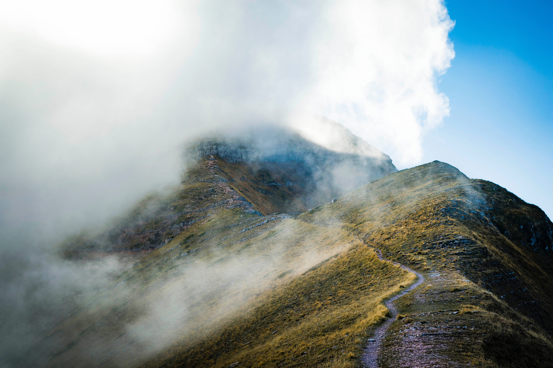 How to Fuel Your Passion