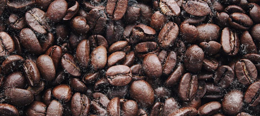 Electrolyte Infused Coffee