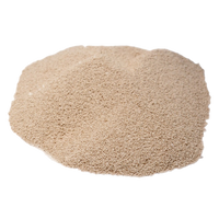 Vitamin B12